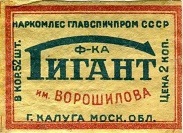 obo145g37