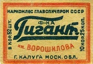 obo224g36