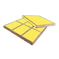 c20